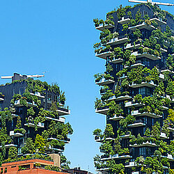 Green building roofs and facades